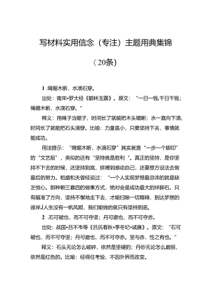 写材料实用信念（专注）主题用典集锦（20条）.docx