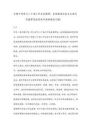 （2篇）乡镇干部学习二 十届三 中全会精神：全面建设社会主义现代化国家迈出坚实步伐的感受.docx
