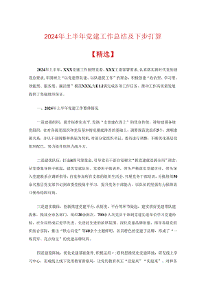 2024年上半年党建工作总结及下步打算（精选）.docx