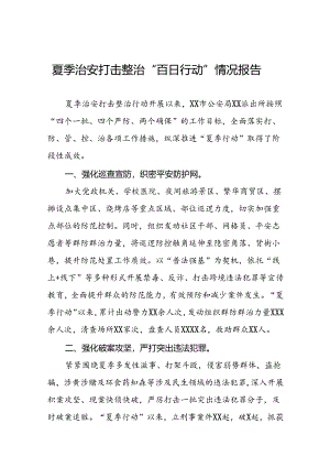 公安派出所2024年深入推进夏季治安打击整治行动情况报告11篇.docx