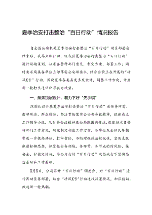 2024年区公安分局开展夏季治安打击整治“百日行动”进展情况汇报总结(十一篇).docx