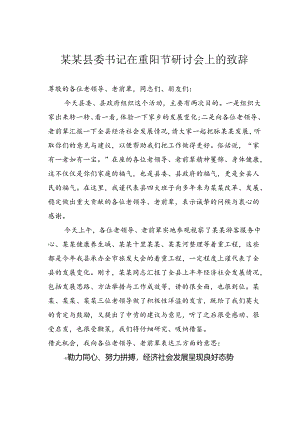某某县委书记在重阳节研讨会上的致辞.docx