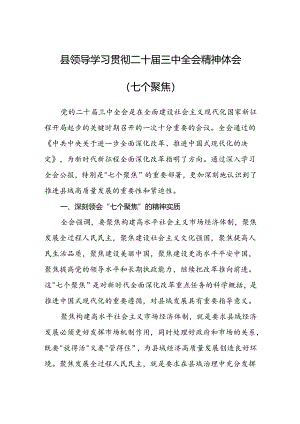 县领导学习贯彻二十届三中全会精神体会（七个聚焦）.docx