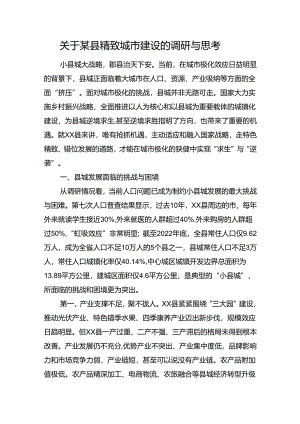 关于某县精致城市建设的调研与思考.docx