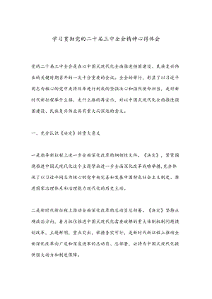 学习贯彻党的二 十届三 中全会精神心得体会.docx