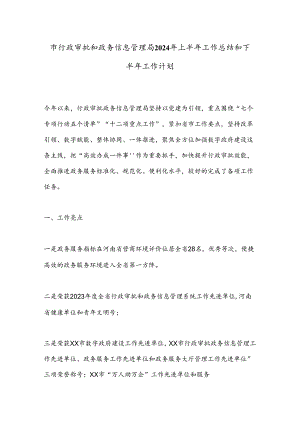 市行政审批和政务信息管理局2024年上半年工作总结和下半年工作计划.docx