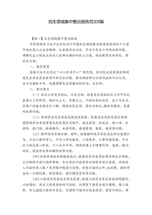 民生领域集中整治报告范文6篇.docx