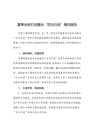 2024开展夏季治安打击整治“百日行动”工作总结五篇.docx