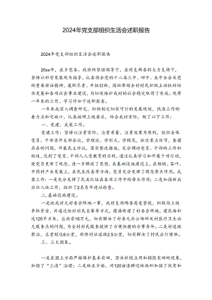 2024年党支部组织生活会述职报告.docx