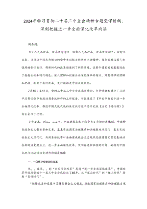 2024年学习贯彻二十届三中全会精神专题党课讲稿：深刻把握进一步全面深化改革内涵.docx