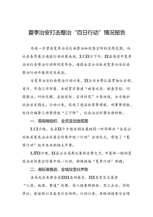 2024年公安推进夏季治安打击整治行动情况报告(十一篇).docx