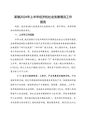 某镇2024年上半年经济和社会发展情况工作报告.docx