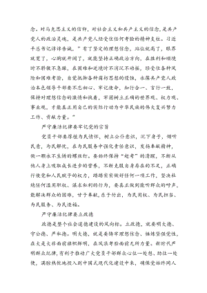 (八篇)围绕廉洁纪律和群众纪律对照检视发言材料（精选）.docx