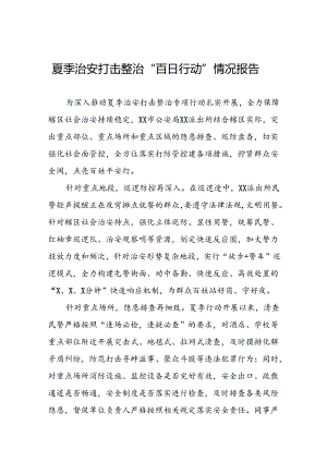 十八篇公安2024年夏季治安打击整治行动情况报告.docx
