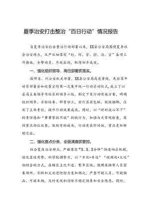 十二篇2024年公安“夏季行动”工作总结.docx