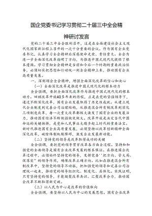 国企三中研讨发言.docx