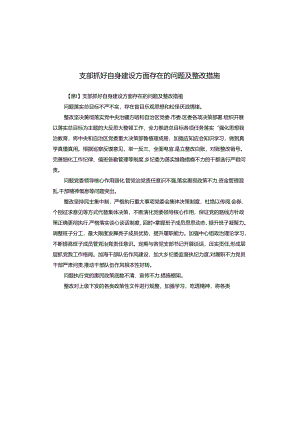 支部抓好自身建设方面存在的问题及整改措施.docx