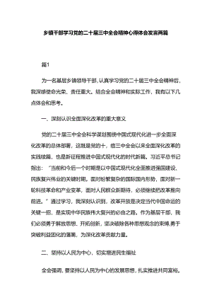 乡镇干部学习党的二十届三中全会精神心得体会发言两篇.docx
