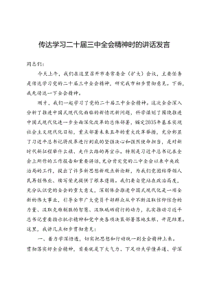 传达学习二十届三中全会精神时的讲话发言.docx