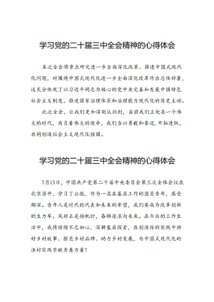 学习二十届三中全会精神的心得体会简要发言31篇.docx