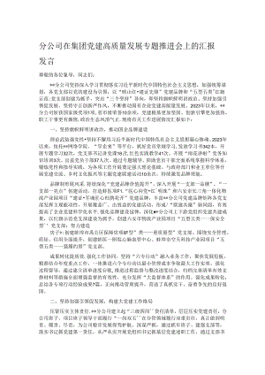 分公司在集团党建高质量发展专题推进会上的汇报发言.docx