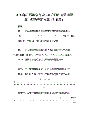 （11篇）2024年开展群众身边不正之风和腐败问题集中整治专项方案模板.docx