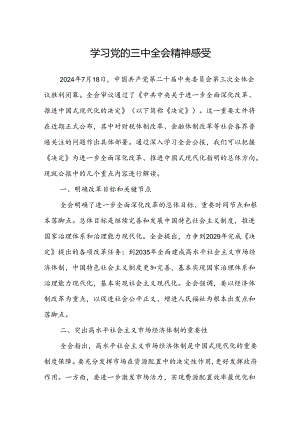 2024年学习党的三中全会精神感受（心得体会）.docx