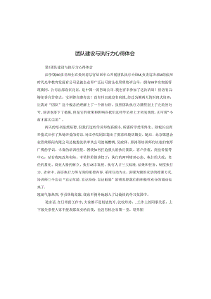 团队建设与执行力心得体会.docx