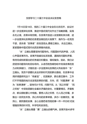 (七篇)支部学习二十届三中全会决议发言稿（精选）.docx