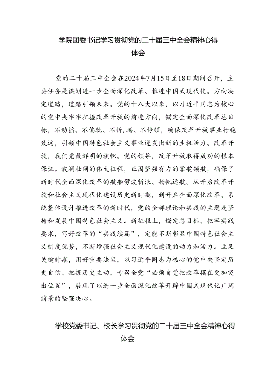 (8篇)学院党总支书记学习贯彻党的二十届三中全会精神心得体会(精选).docx_第3页
