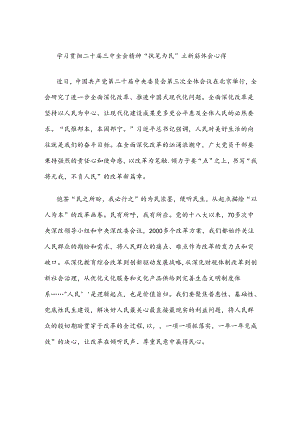 学习贯彻二十届三中全会精神“执笔为民”立新篇体会心得.docx