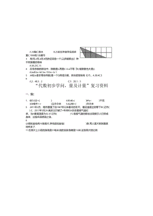 代数初步知识量与计量复习资料.docx