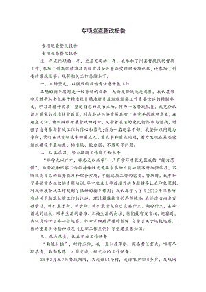 专项巡查整改报告.docx
