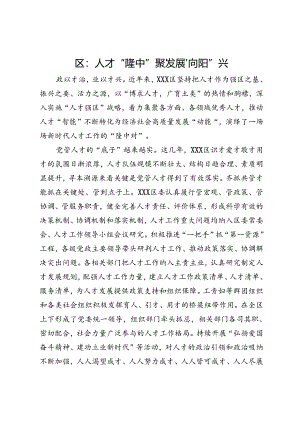 区：人才“隆中”聚发展“向阳”兴.docx