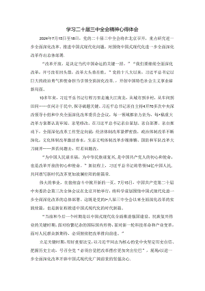 学习二十届三中全会精神心得体会五.docx
