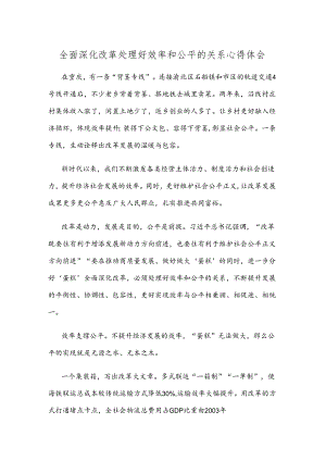 全面深化改革处理好效率和公平的关系心得体会.docx
