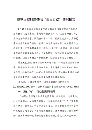 2024年公安机关夏季治安打击整治行动情况报告十四篇.docx