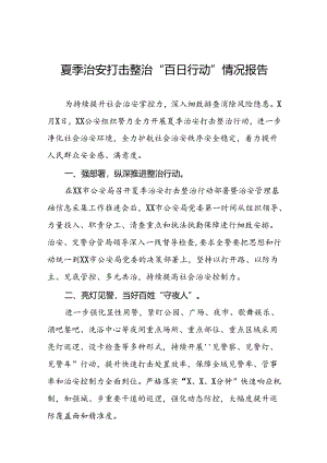 2024年公安开展夏季治安打击整治行动工作汇报十二篇.docx