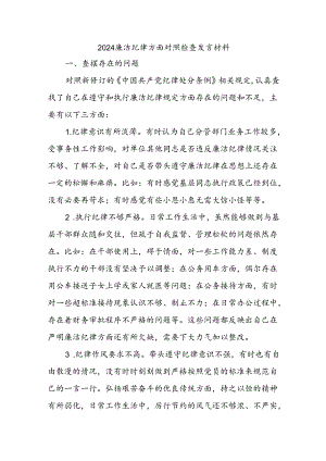 2024廉洁纪律方面对照检查发言材料.docx