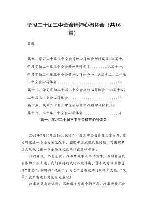 学习二十届三中全会精神心得体会优选16篇.docx