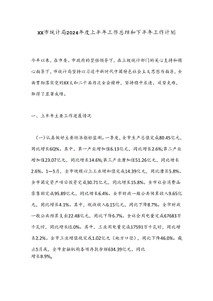 XX市统计局2024年度上半年工作总结和下半年工作计划.docx