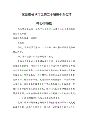 某副市长学习党的二十届三中全会精神心得感悟.docx