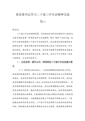 某县委书记学习二十届三中全会精神交流发言.docx