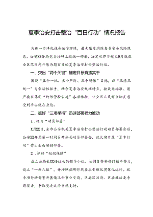 公安2024年夏季治安打击整治行动工作总结报告五篇.docx