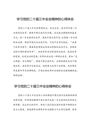 学习二十届三中全会精神的心得体会最新交流发言稿31篇.docx