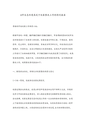 X市生态环境局关于巡察整改工作的情况报告.docx