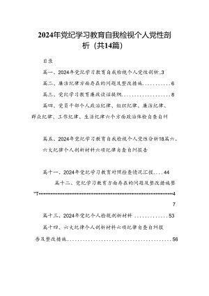 2024年党纪学习教育自我检视个人党性剖析 （汇编14份）.docx