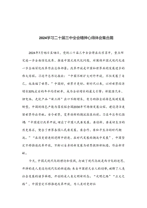 2024学习二十届三中全会精神心得体会集合篇.docx