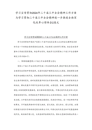 学习宣传贯彻2024年二十届三中全会精神工作方案与学习贯彻二十届三中全会精神进一步推进全面深化改革心得体会2篇文.docx