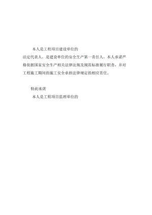 法定代表人项目安全生产承诺书.docx